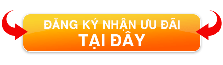 dịch vụ cấp lại bằng bị mất